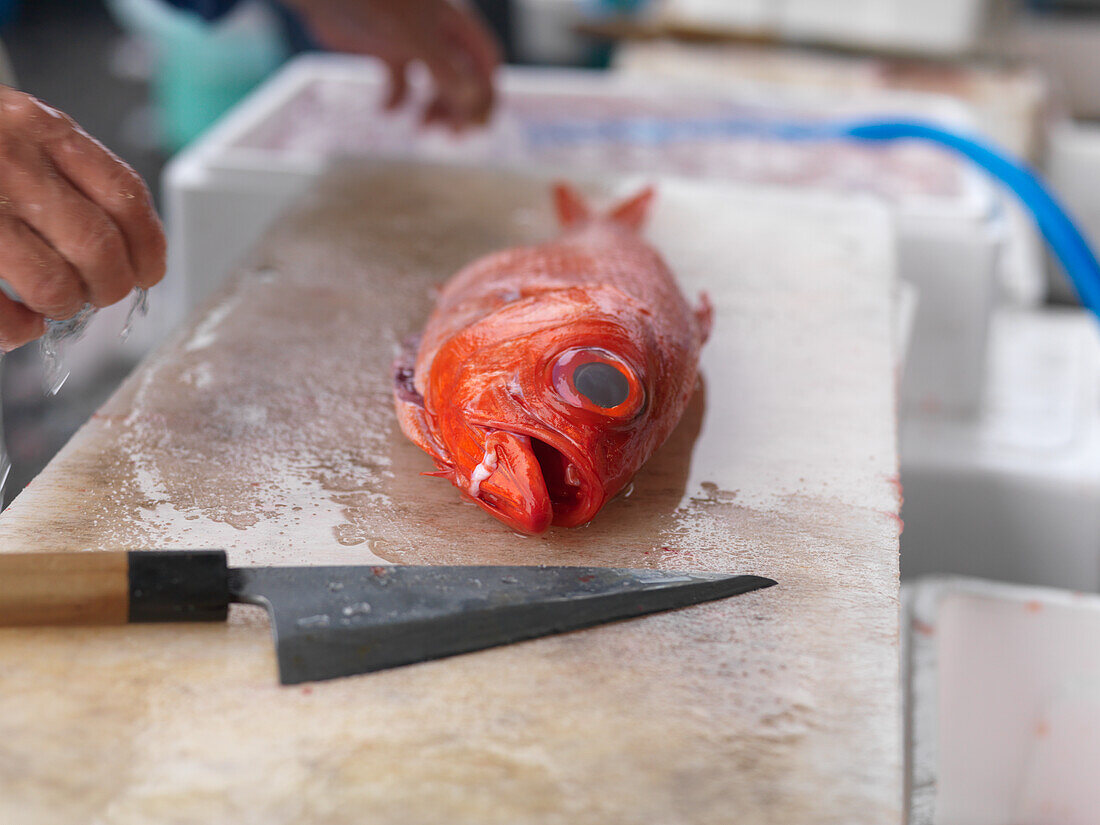 Red fish on cutting board