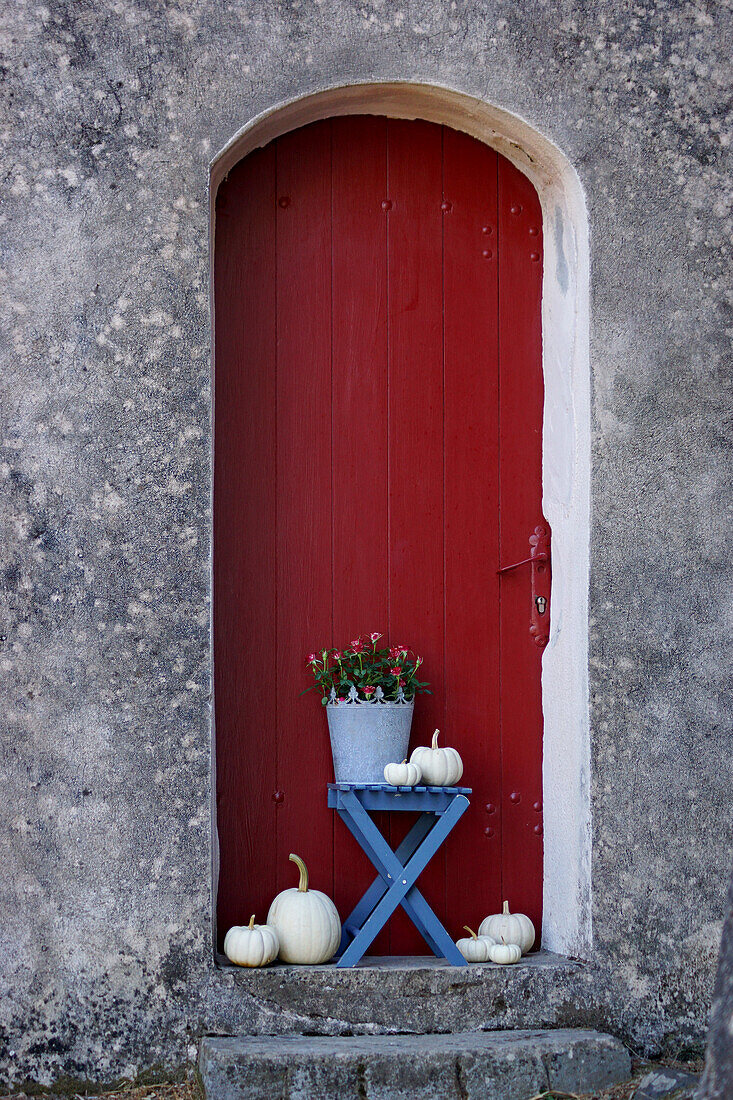 Entrance area with roses and pumpkins as decoration