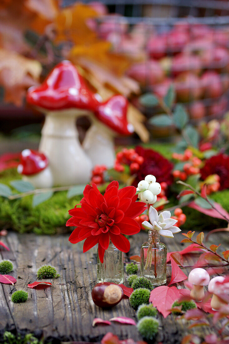 Autumn table with blossom, chestnuts, and ceramic mushrooms