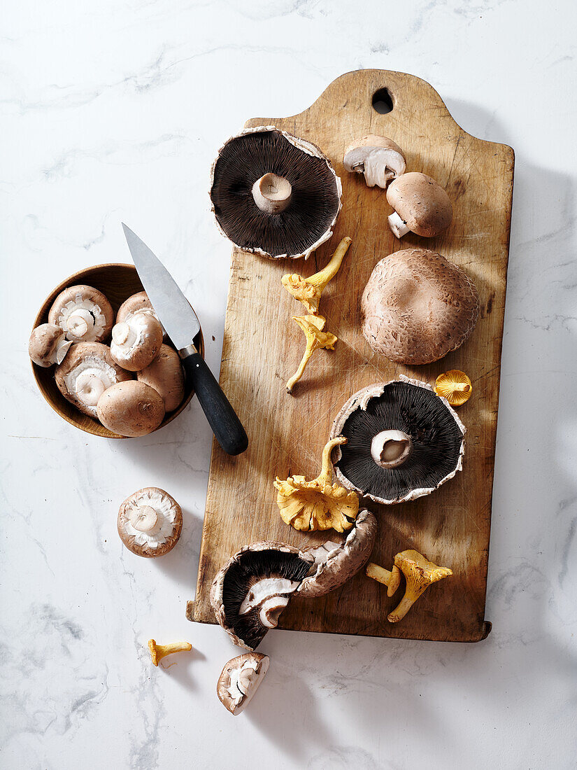 Top view various mushrooms on a wooden cutting board