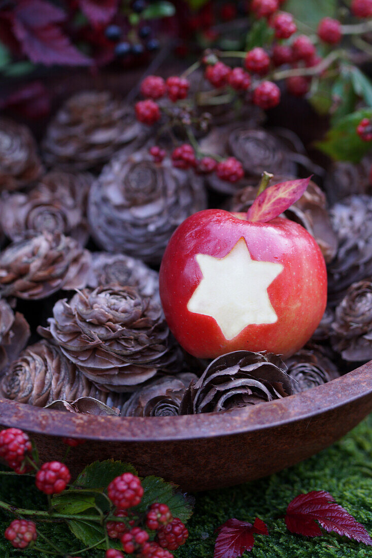 Bowl with cedar cones and an apple