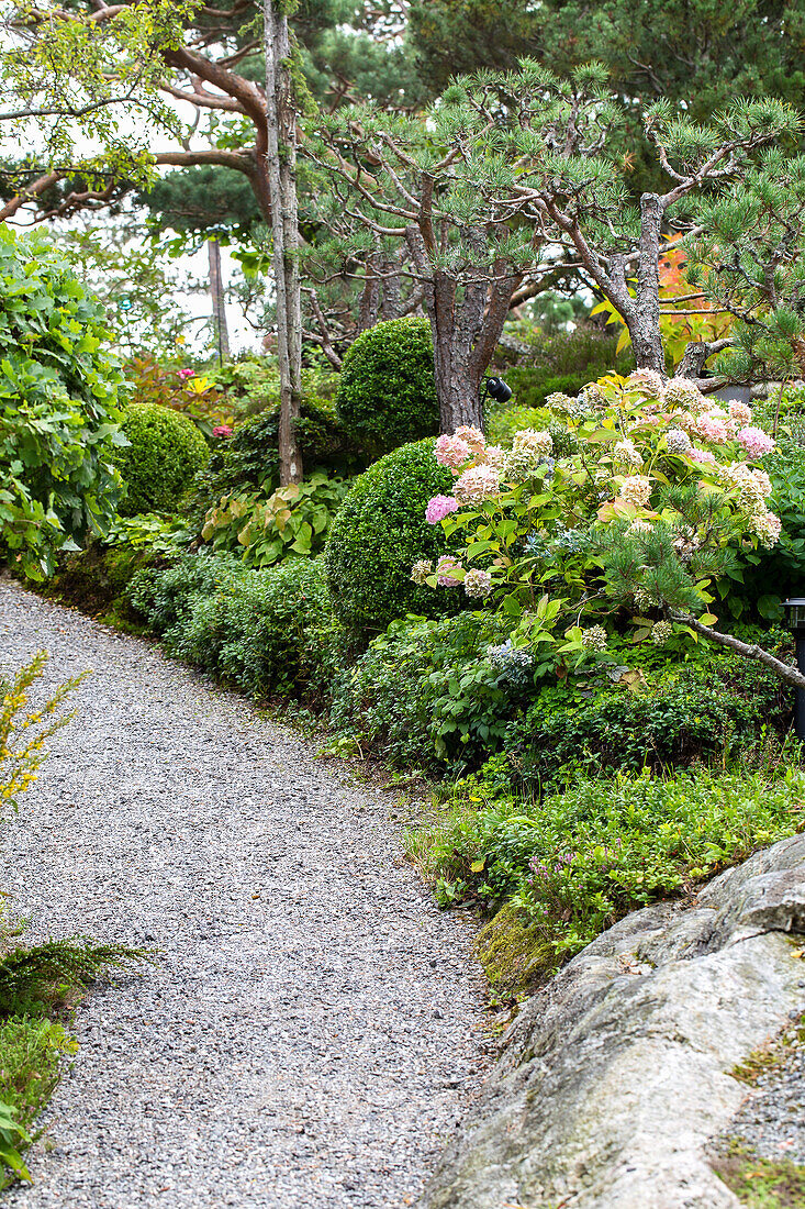 Gartenweg, gesäumt von Buchsbaum, Hortensie, Schaumblüte und Waldpreiselbeeren