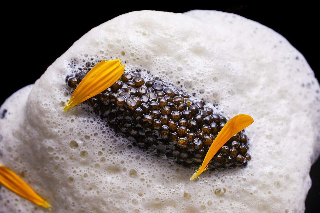 Black caviar on milk foam