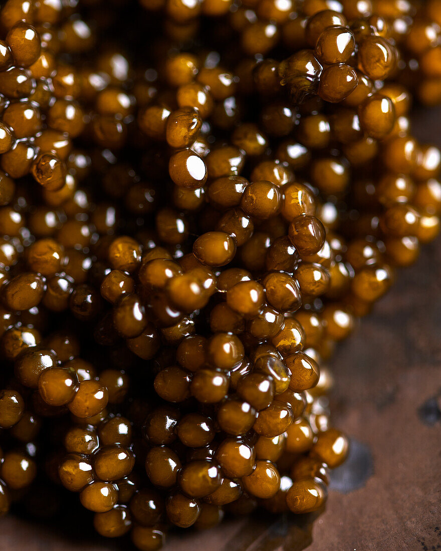 Caviar (close-up)