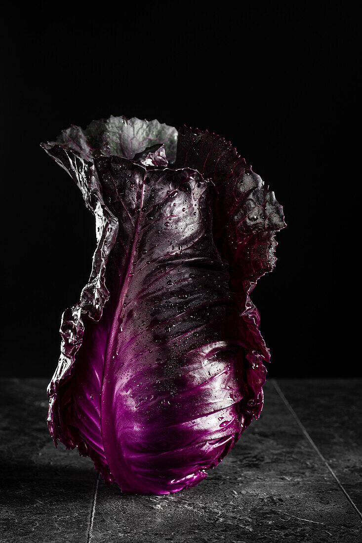 Organic Red Kalibos cabbage against a black background