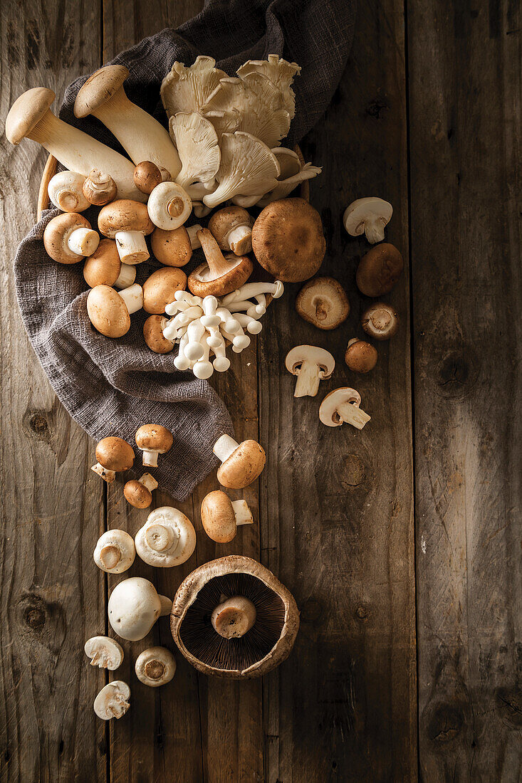 Mushroom still life