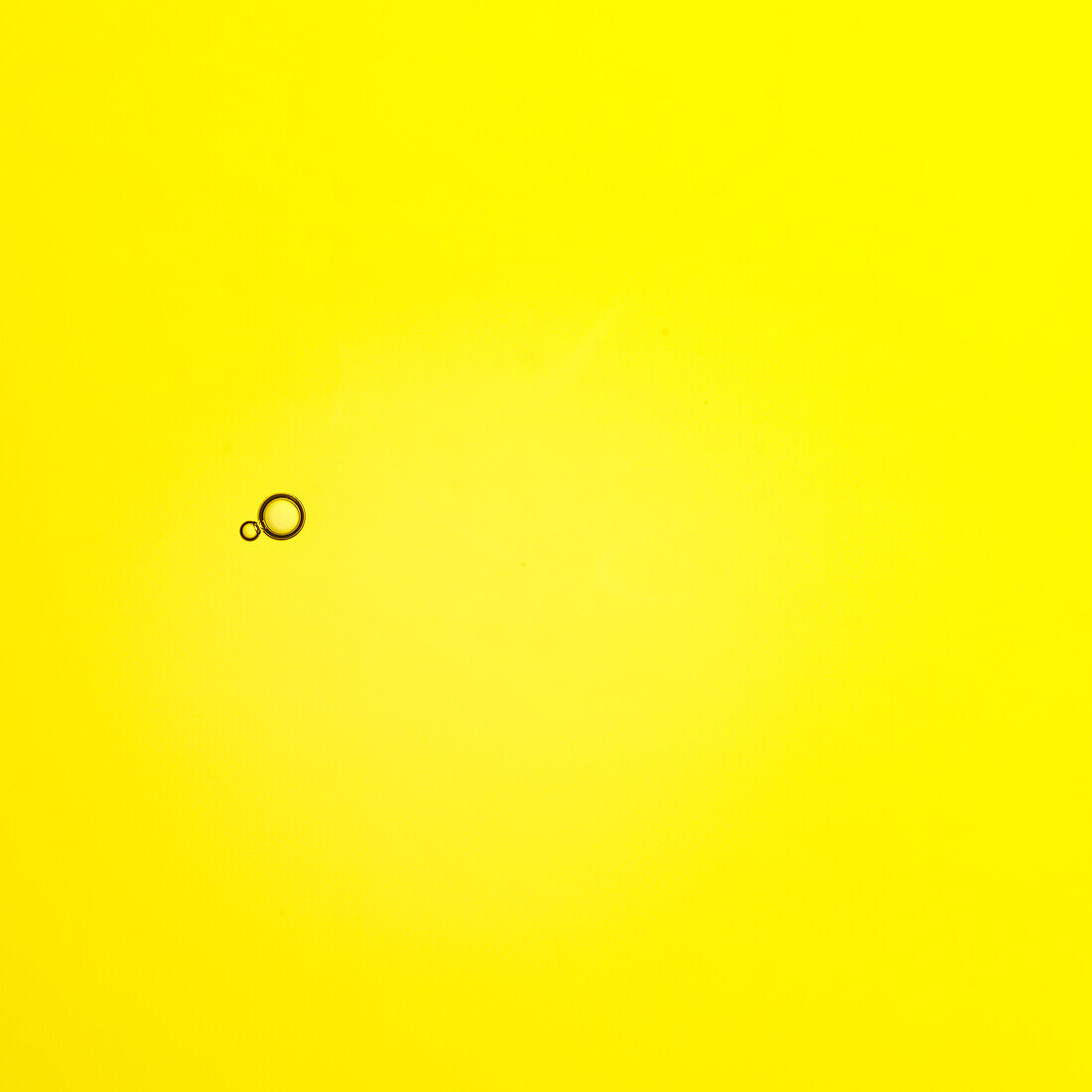 Olive oil with bubbles (full-frame)
