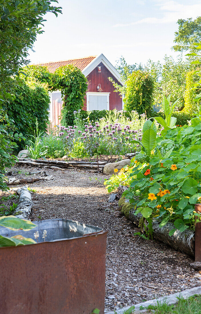 Raised beds with borders made of tree trunks and stones