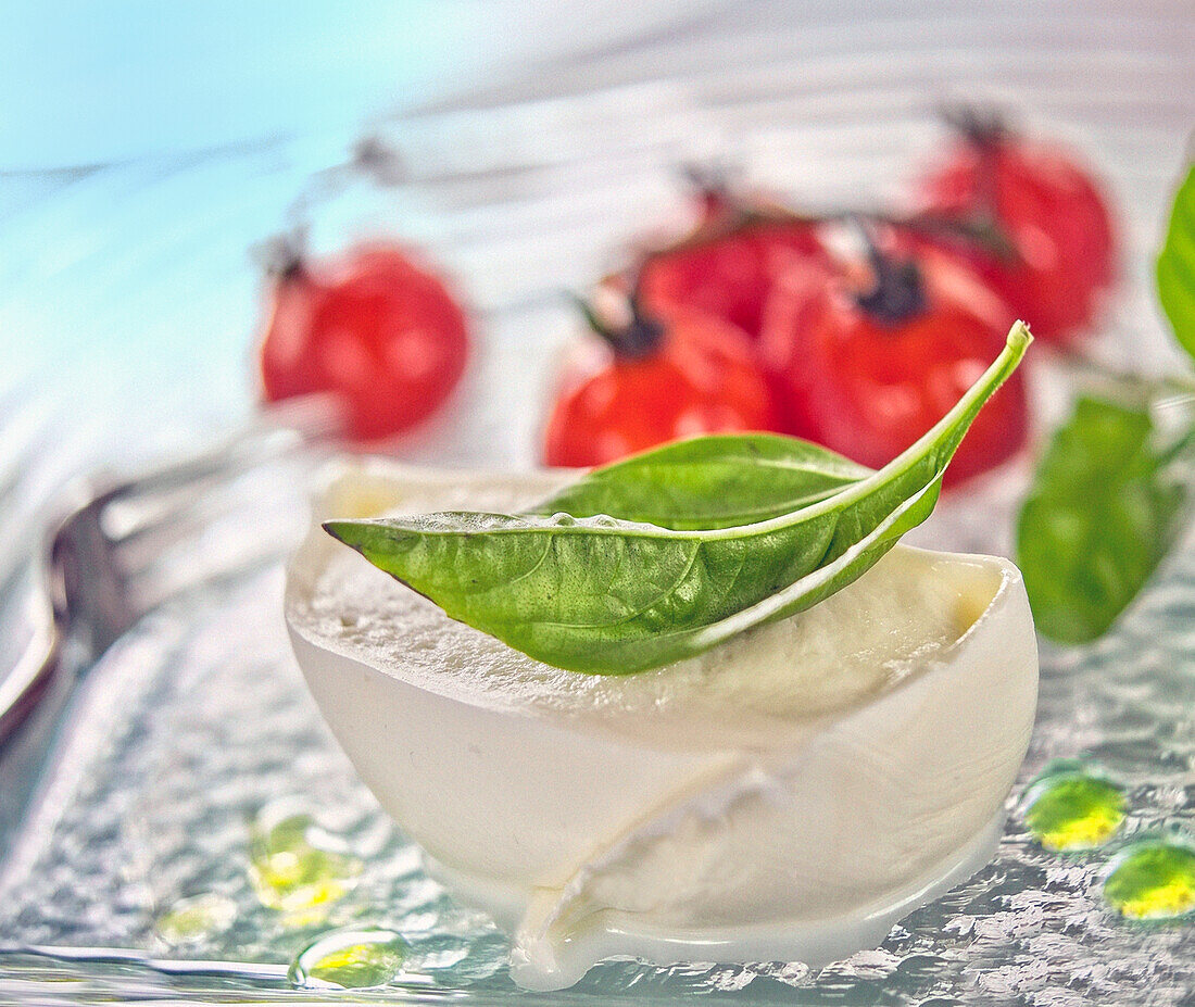 Büffelmozzarella mit Basilikum und Tomaten