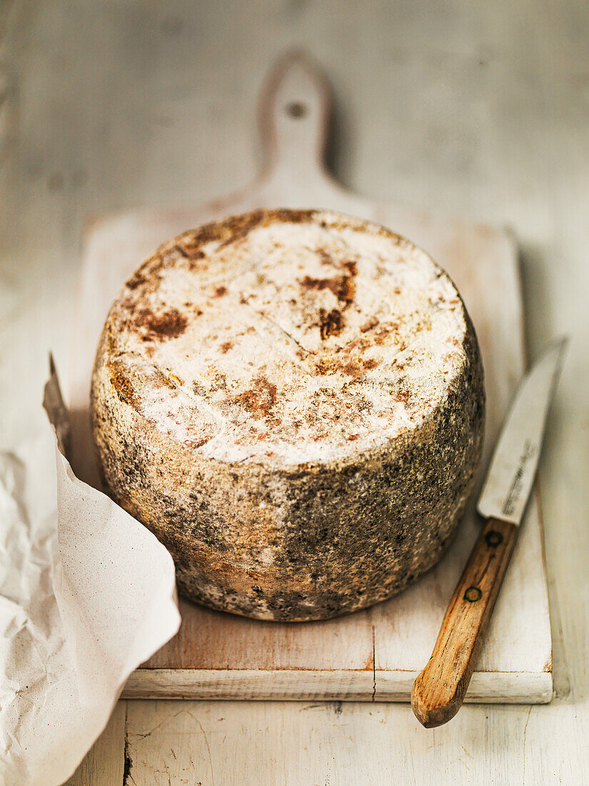 Sardinian pecorino cheese with knife on wooden board