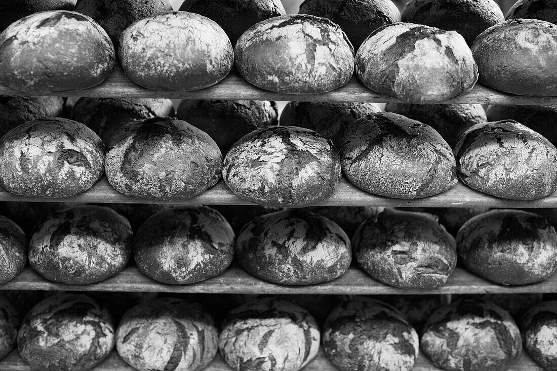 Many loaves in bread shelves of a bakery