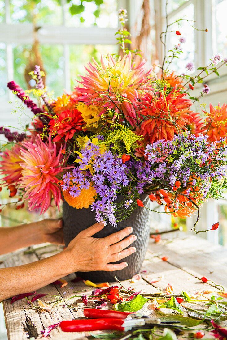 Hände halten spätsommerlichen Blumenstrauß in Vase mit Kaktusdahlien, Pompondahlien, Goldrute, Hagebutten, Astern, Fenchelblüten und Mädchenauge.