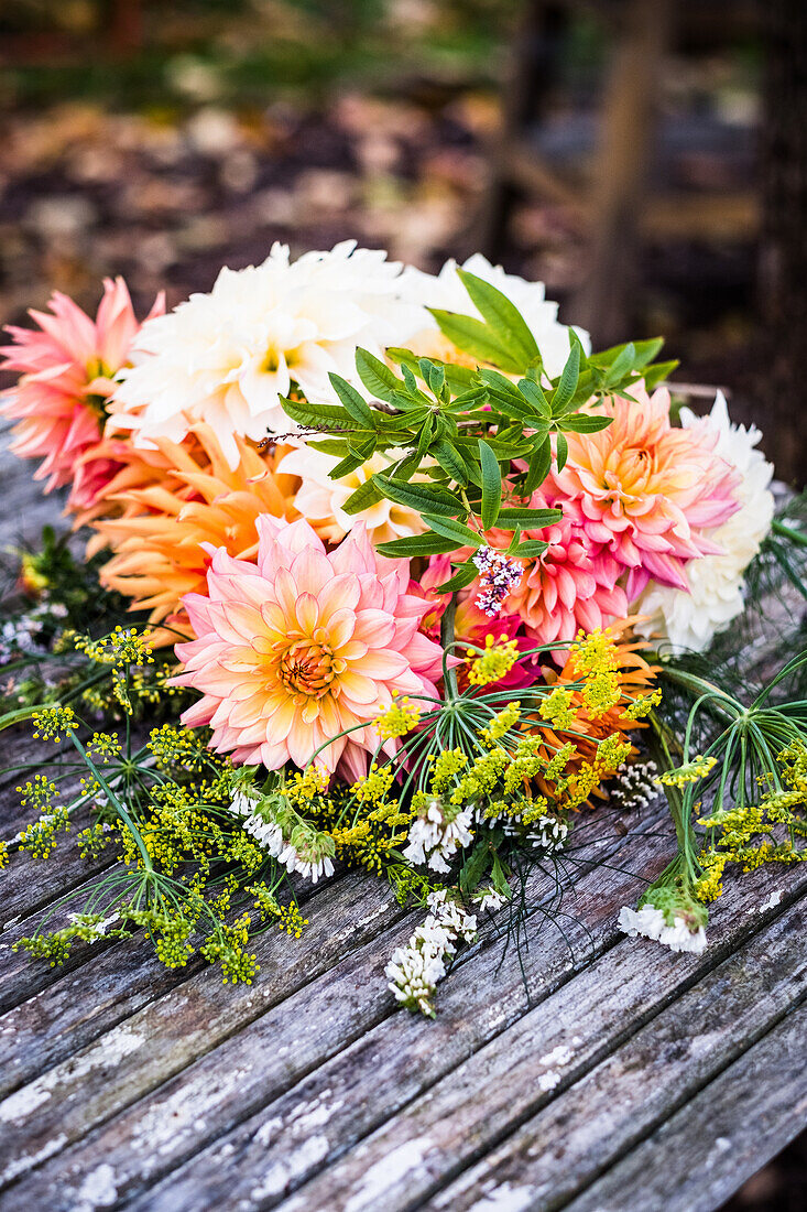 A colourful bouquet of dahlias (Dahlia)