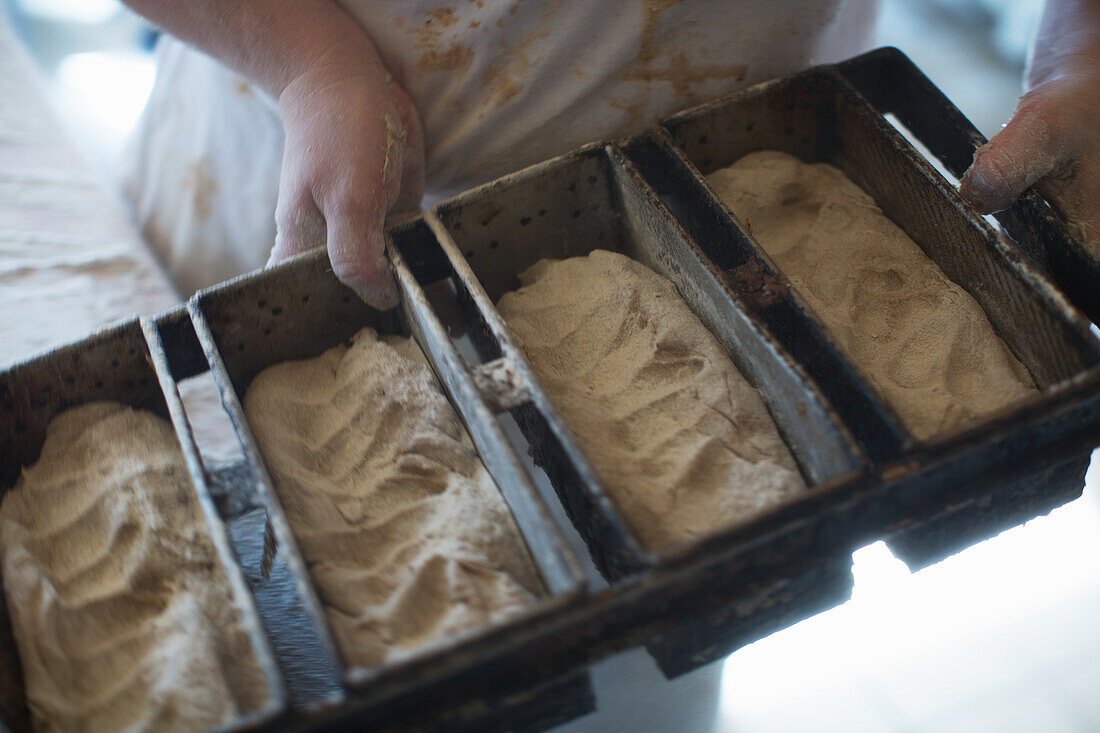 Dough in bread loaf pans