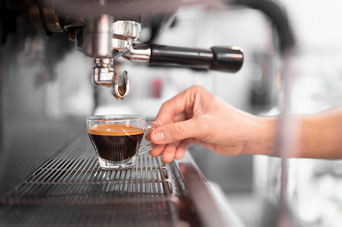 Hand of crop unrecognizable barista with glass cup brewing fresh coffee in modern coffee machine in light cafe on blurred background