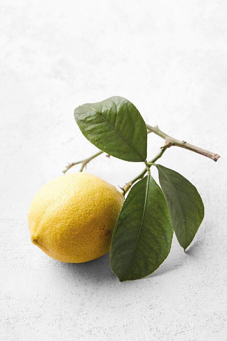 Zitrone mit Blättern