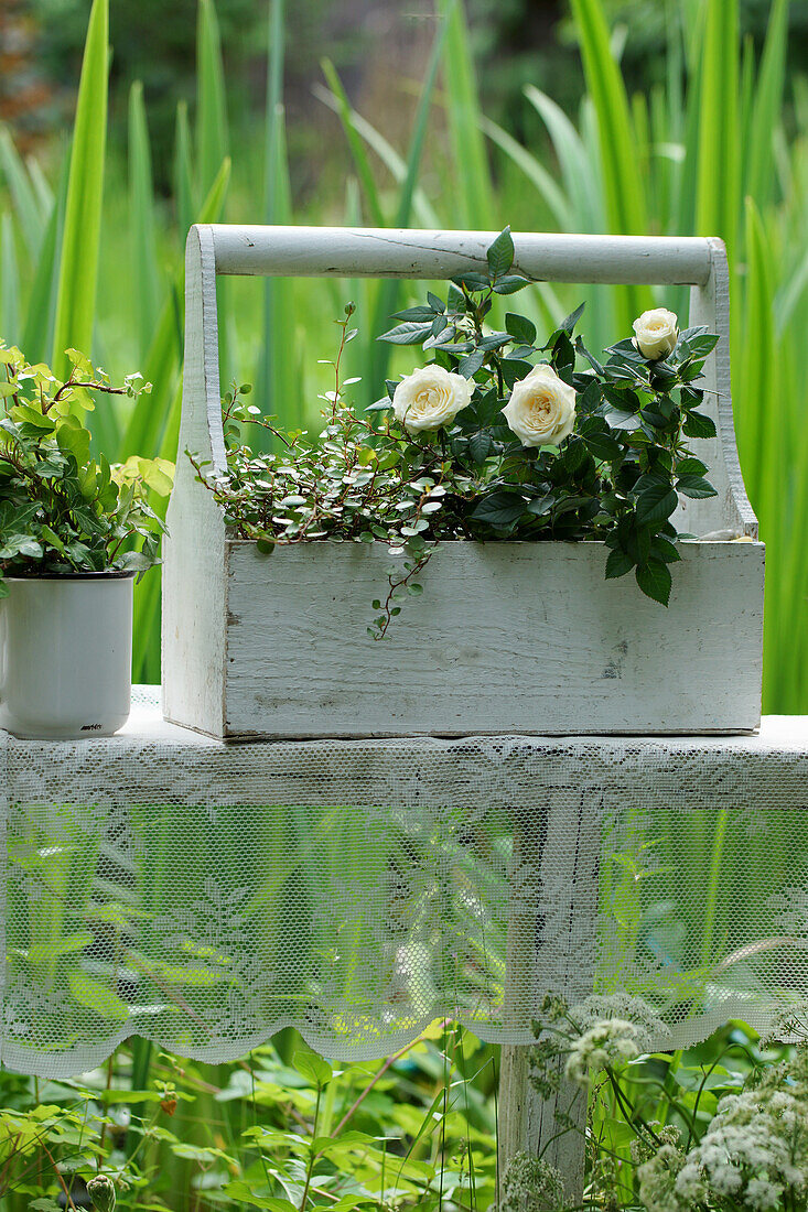 Arrangement of roses, muehlenbeckia and ivy in a wooden box in garden