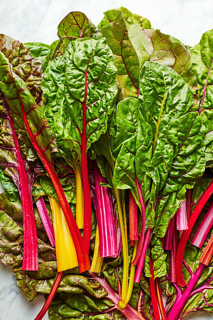 Colorful swiss chard