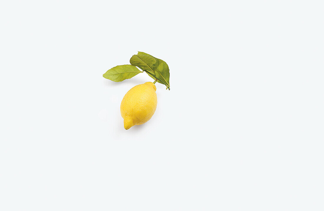 Organic lemon with leaves