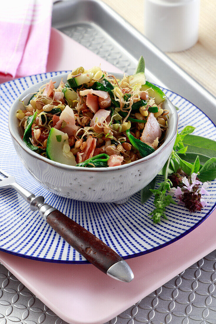 Salat mit gebratenen Linsensprossen, Kichererbsen, Speck, Gurken und Spinat