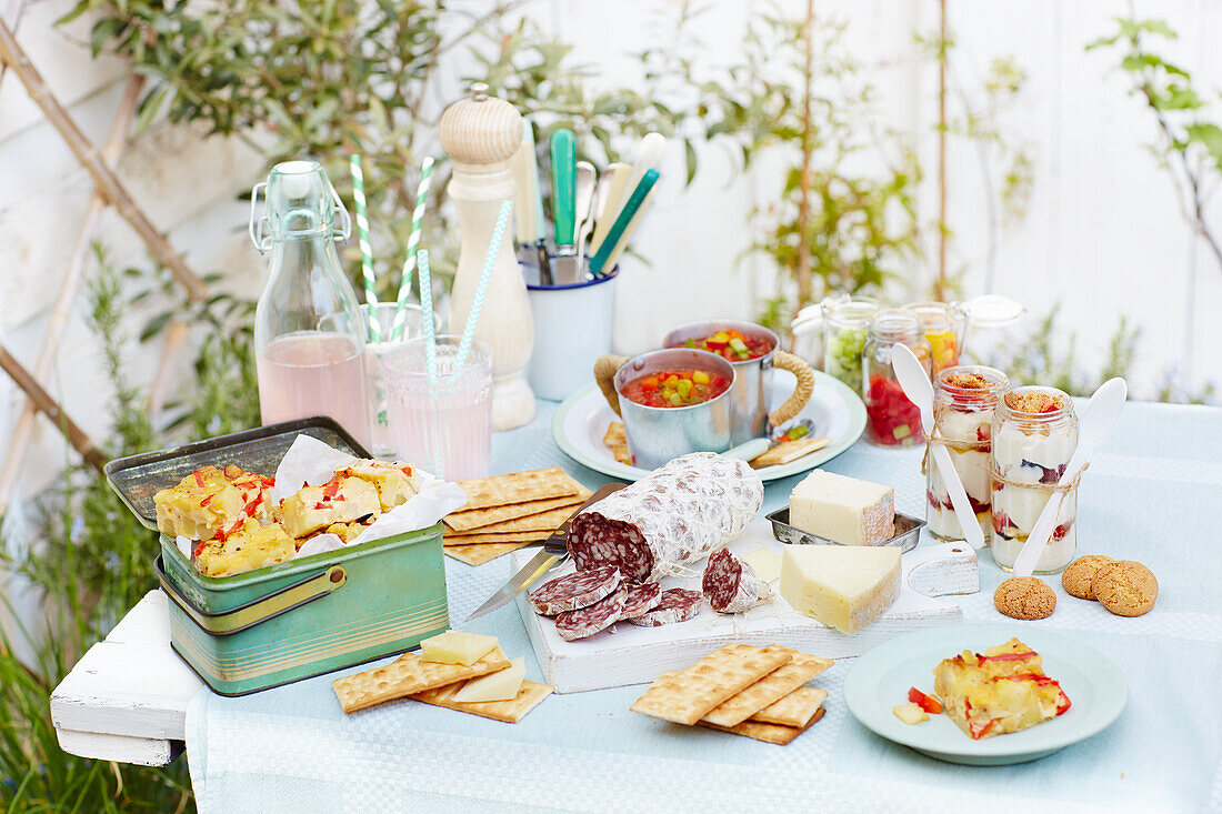 A picnic with Mediterranean snacks and dishes (tortilla, salami, cheese, gazpacho, pink lemonade)