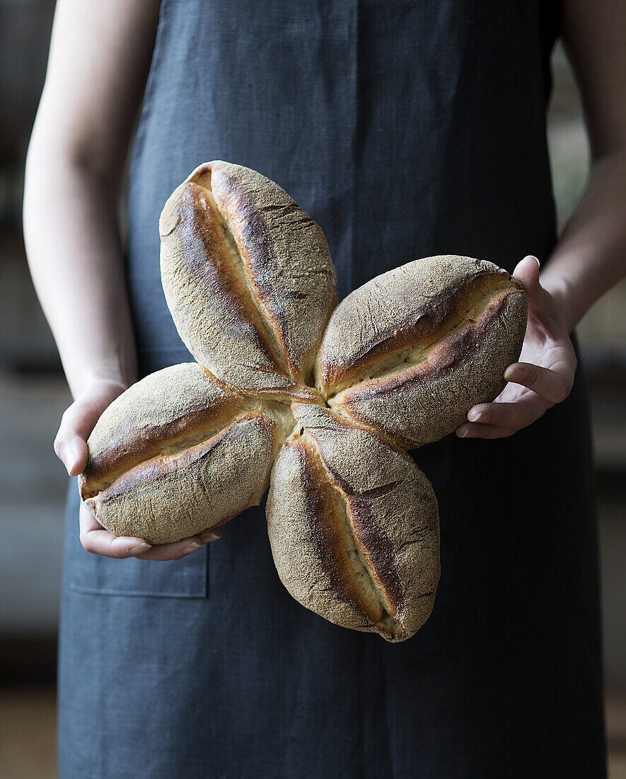 Windmill rolls