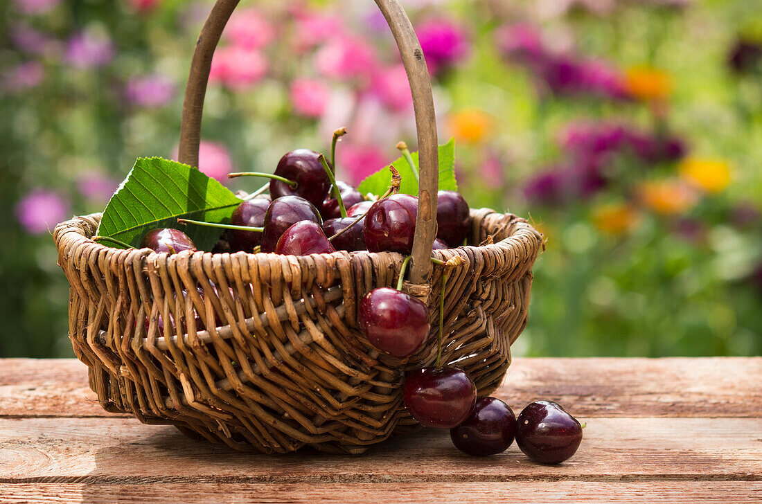 Cherries in a small basket on a wooden table