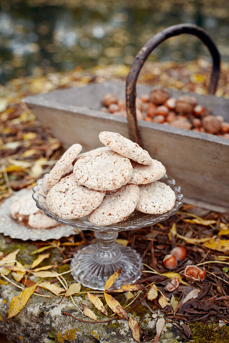 Hazelnut Crisps