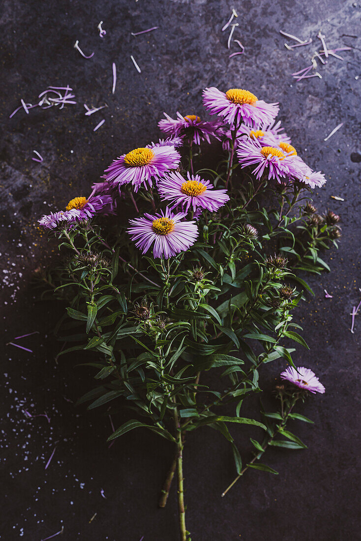 Cornflowers