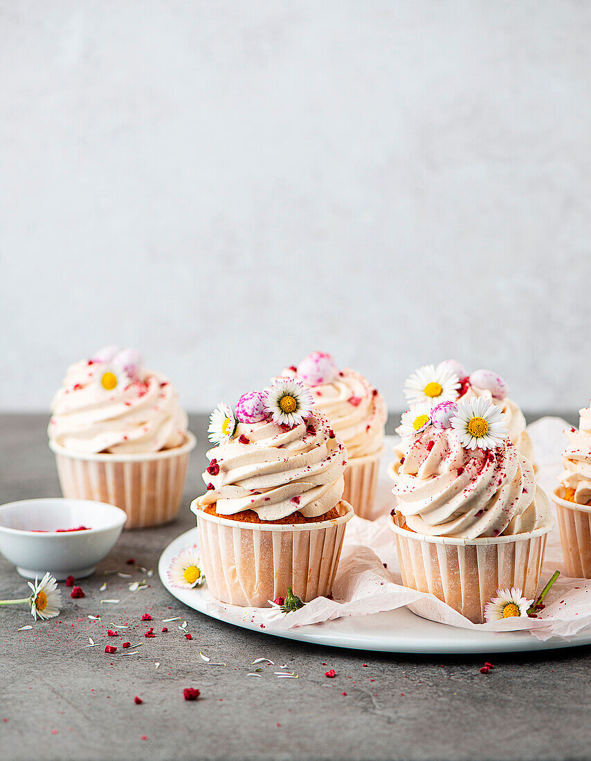 Cupcakes mit Gänseblümchen zu Ostern
