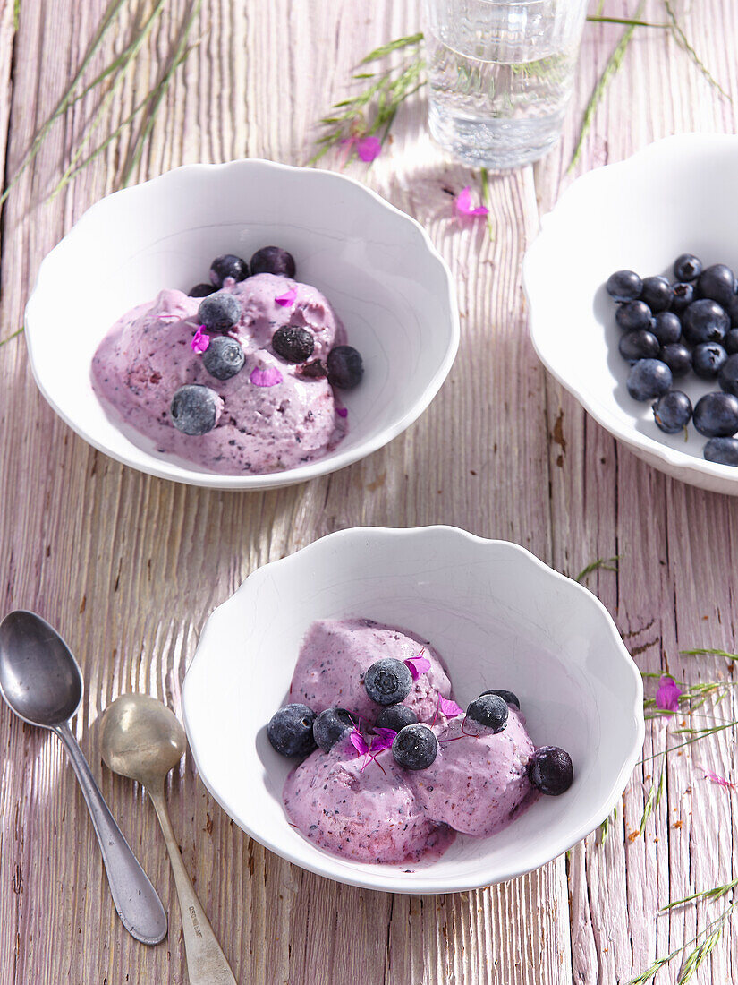 Blueberry frozen yoghurt