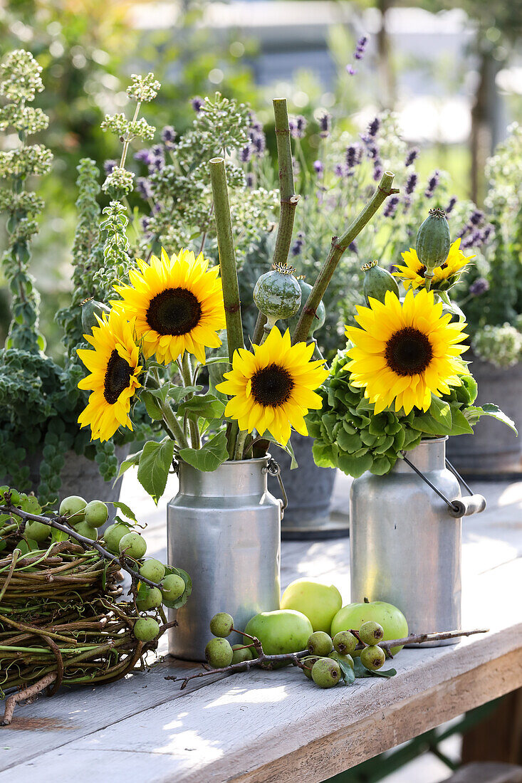 Strauß aus Sonnenblumen und Mohnkapseln in Milchkannen