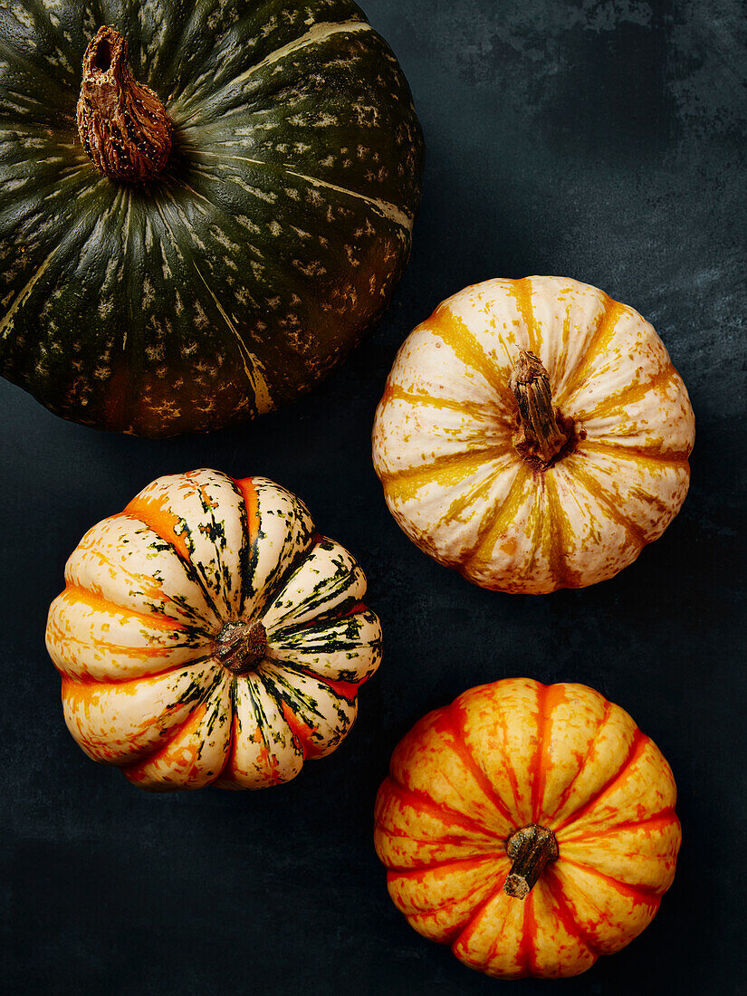 Four different pumpkins (top view)