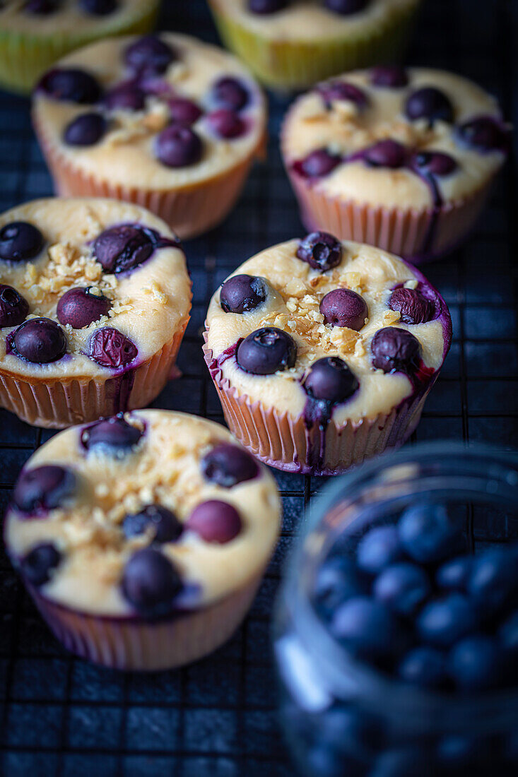 Mini-Käsekuchen mit Heidelbeeren