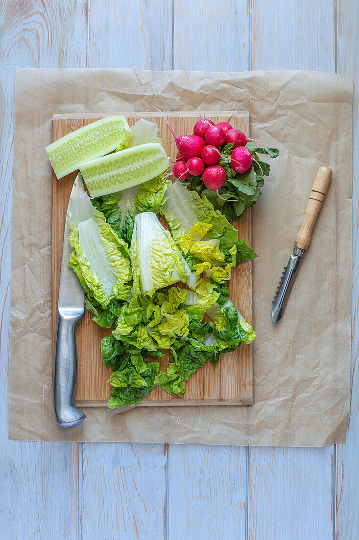 Salad ingredients - lettuce, radishes, cucumber