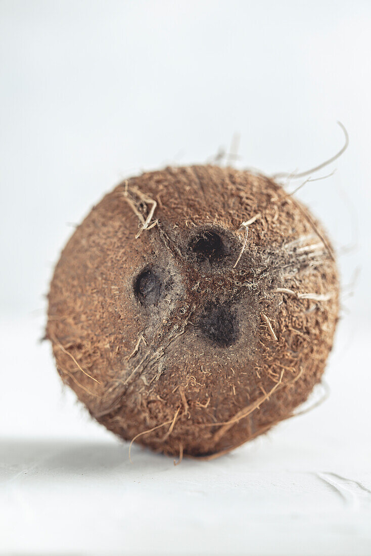 A coconut