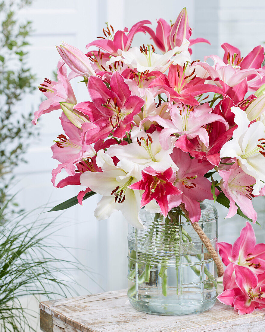 Lilium oriental pastel bouquet