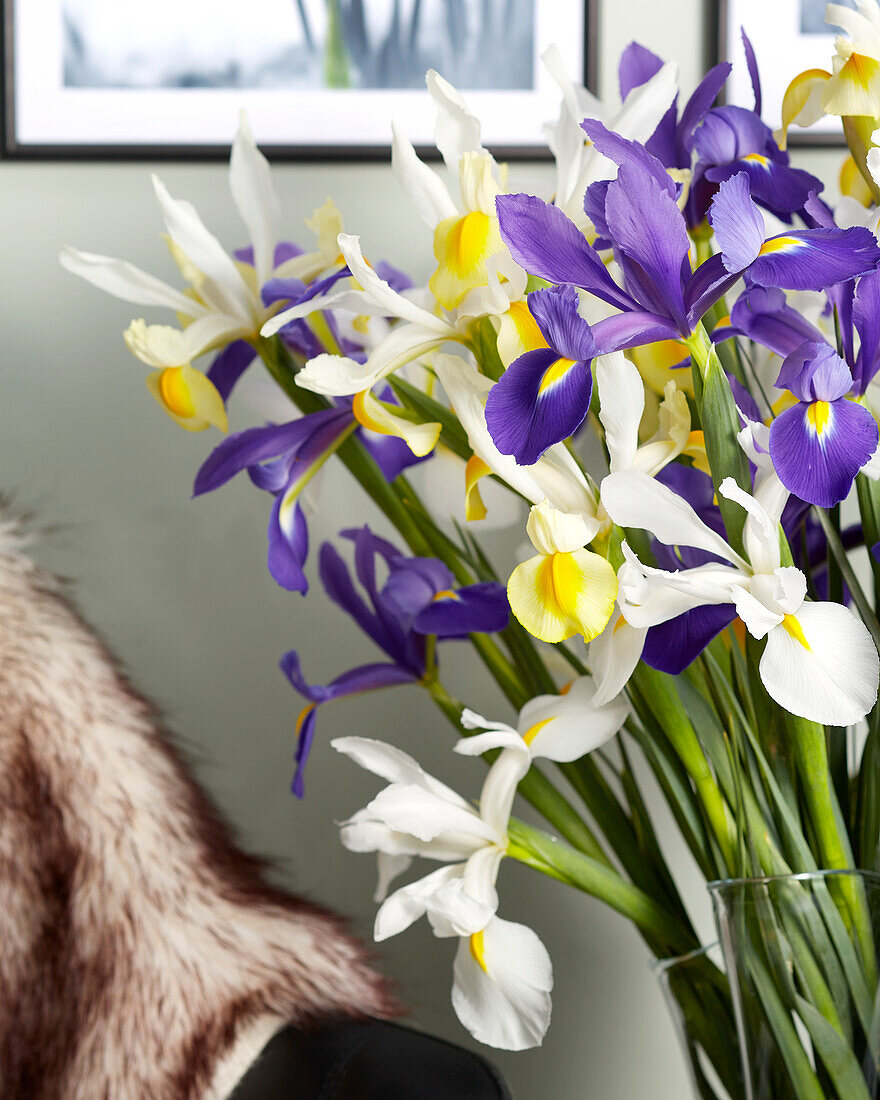 Mixed Iris bouquet