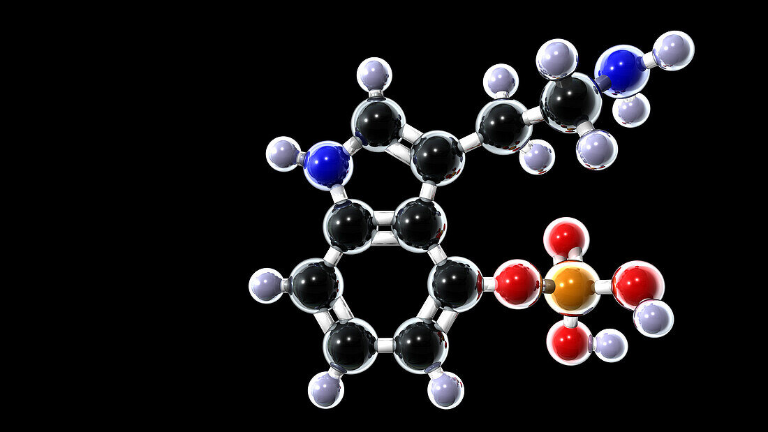 Norbaeocystin molecule, illustration