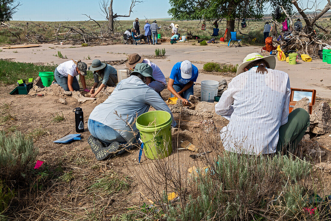 Archaeological Dig at Japanese Internment Camp