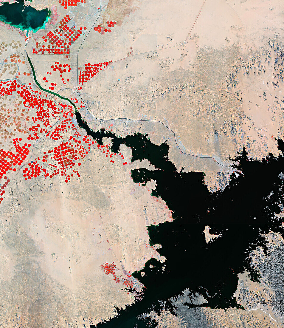 Agriculture around Lake Nasser, Egypt, satellite image