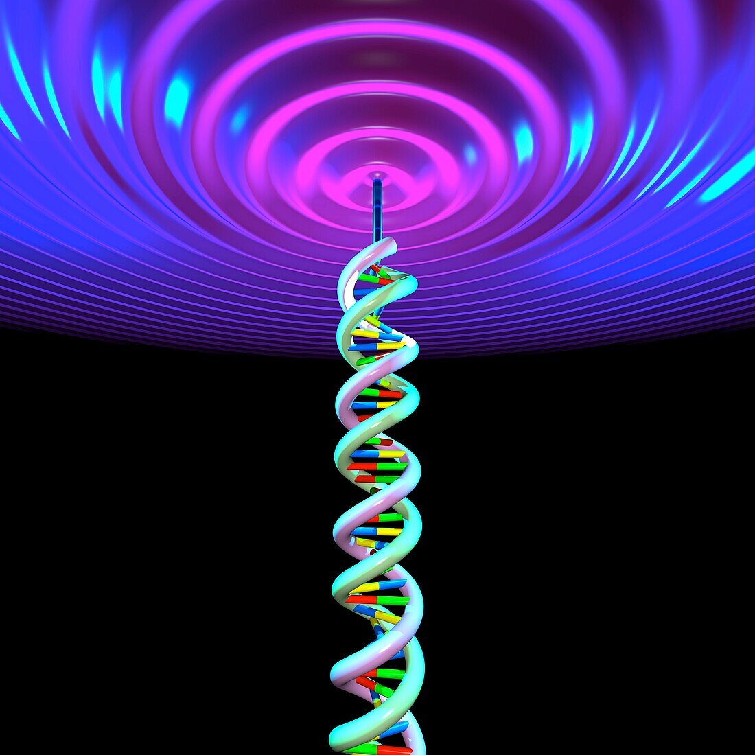 DNA tower