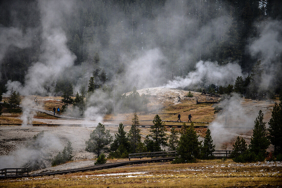 Fumaroles in Yellowstone National Park, USA