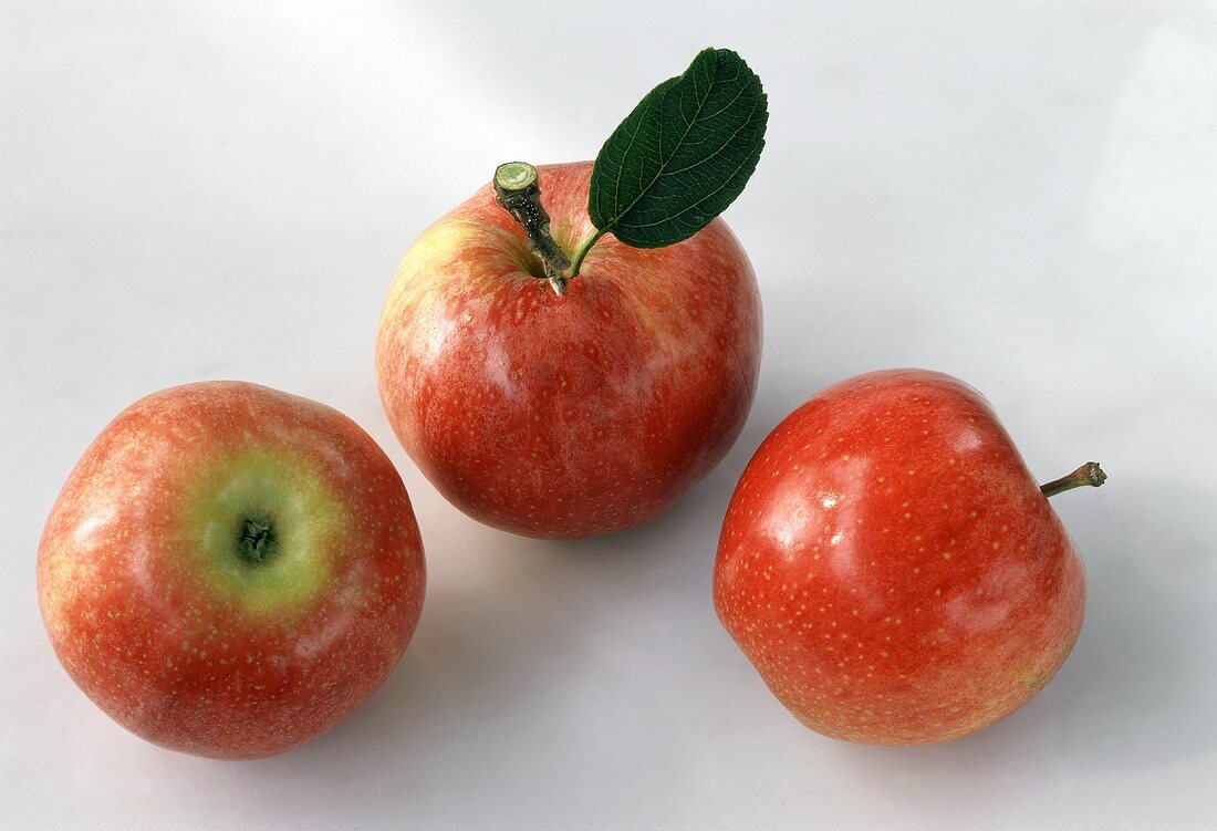 Drei Äpfel der Sorte Gala Royal