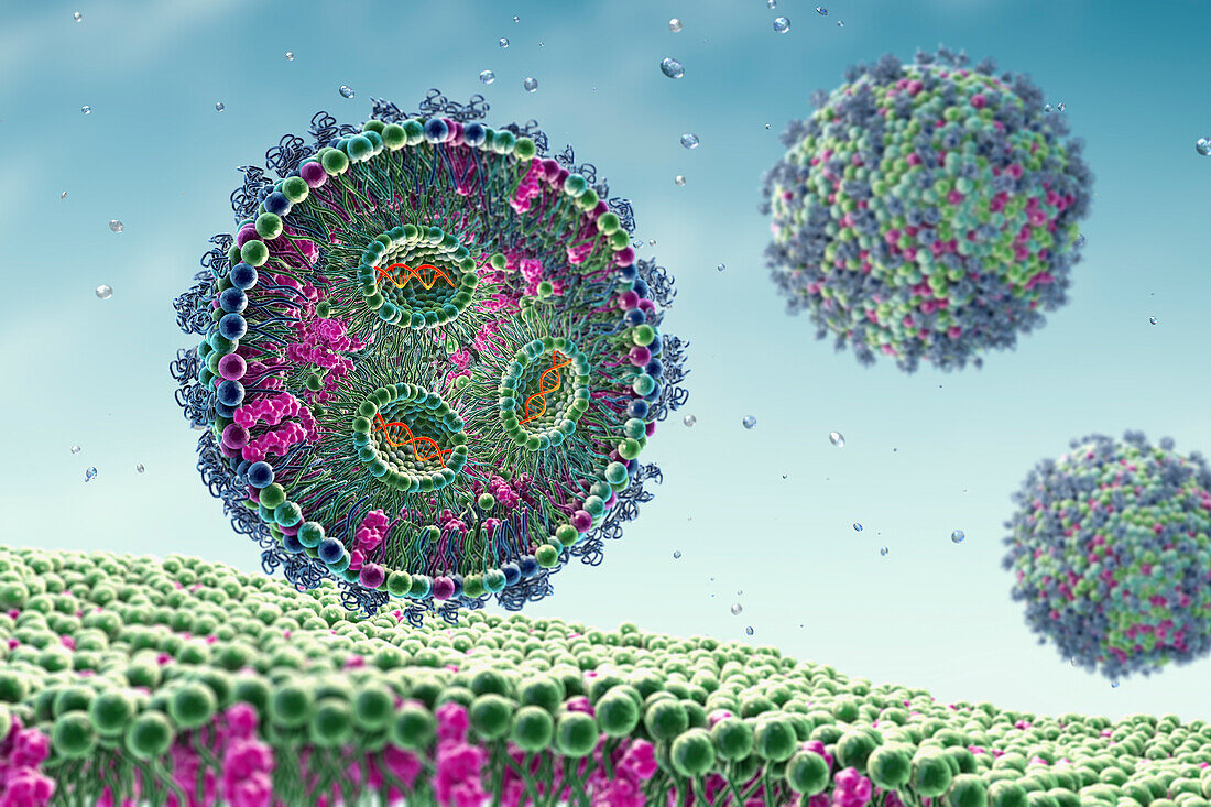 siRNA lipid nanoparticle antiviral, illustration