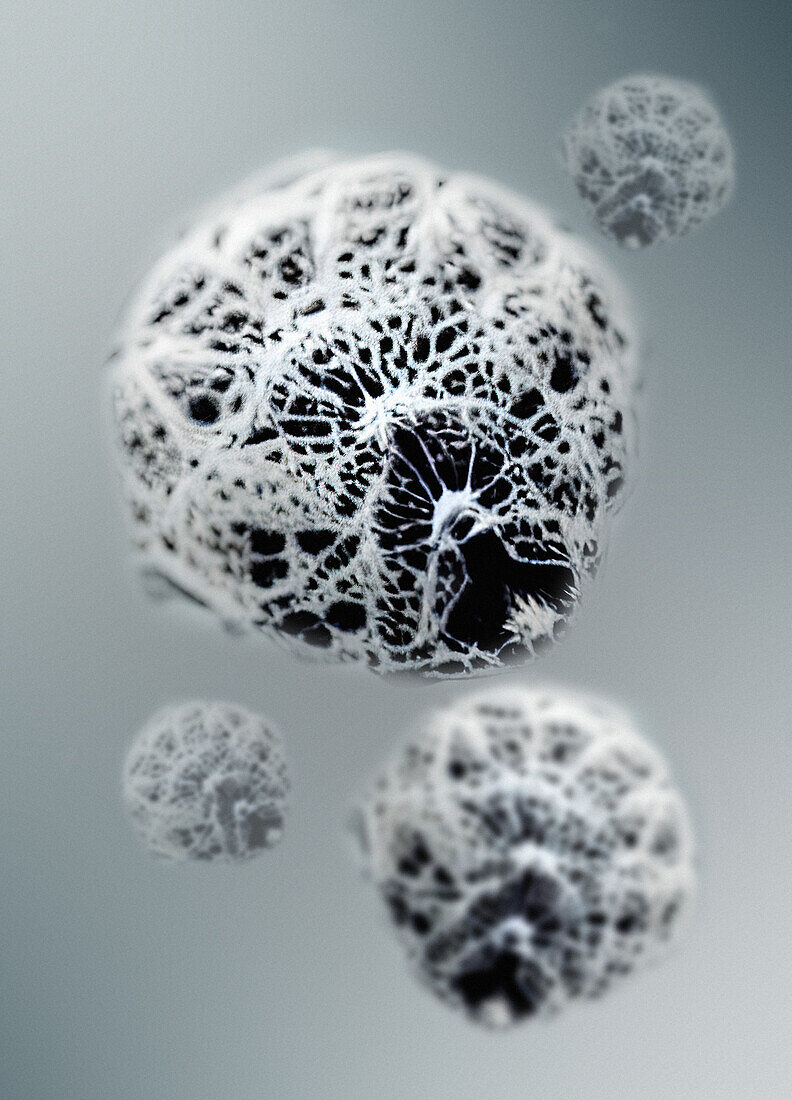 Alien microbe from space, conceptual illustration