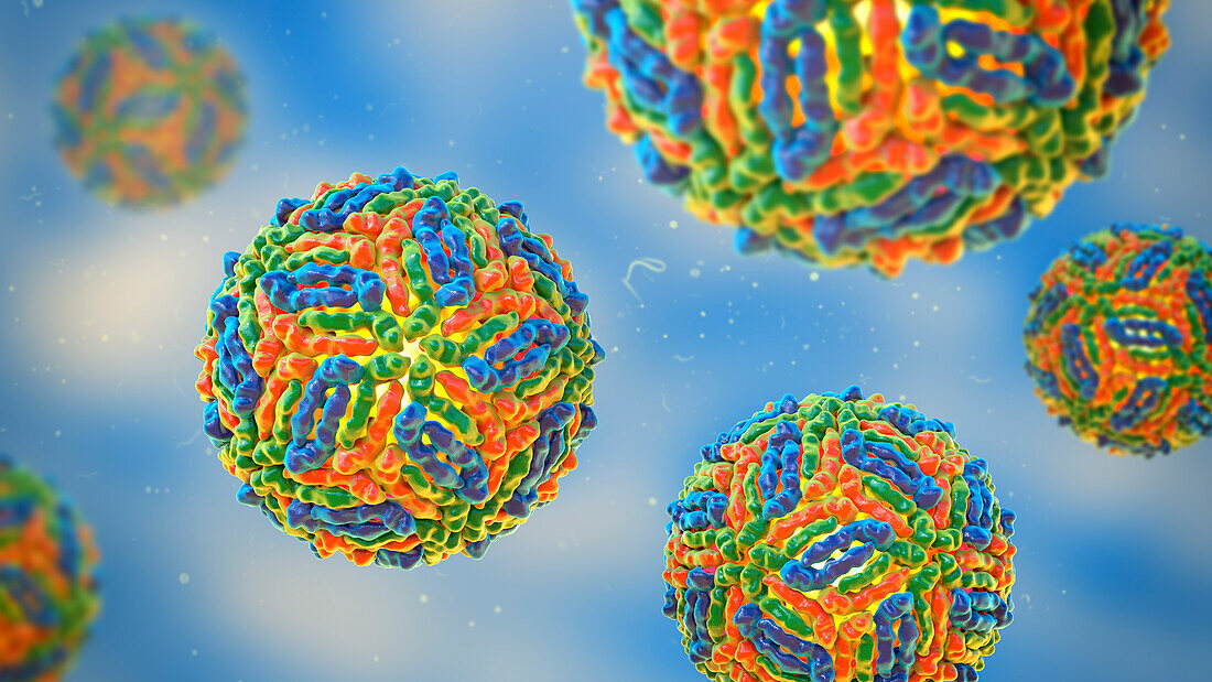 West Nile virus particles, illustration