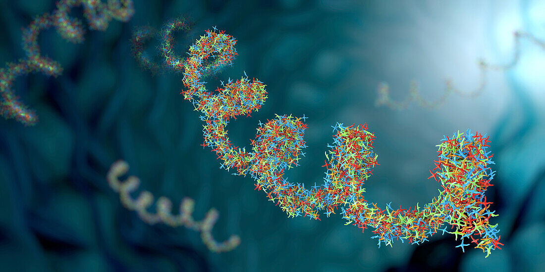 Ribonucleic acid strands, illustration