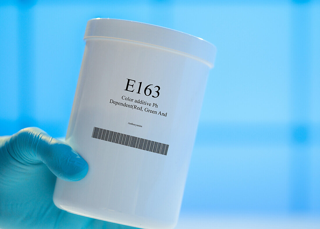 Container of the food additive E163