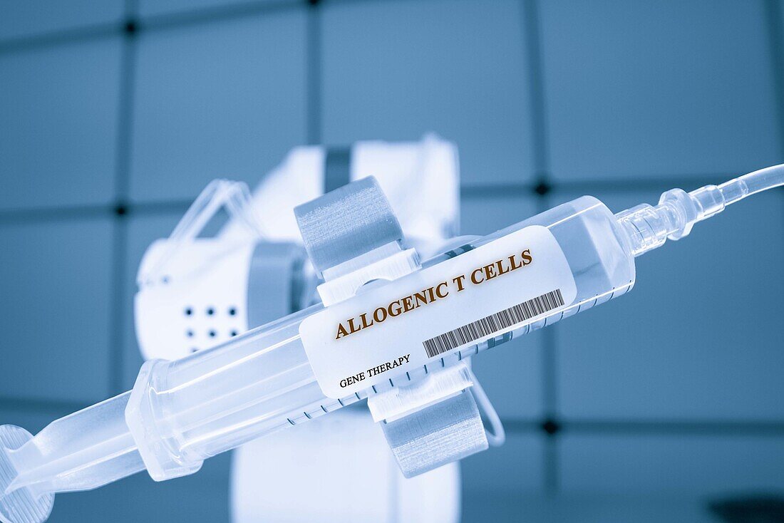 Allogenic T cell gene therapy, conceptual image